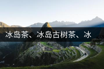 冰島茶、冰島古樹茶、冰島茶區(qū)茶、冰島茶區(qū)古樹茶