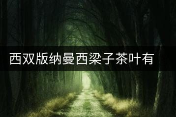 西雙版納曼西梁子茶葉有限公司