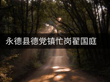 永德縣德黨鎮(zhèn)忙崗翟國(guó)庭茶