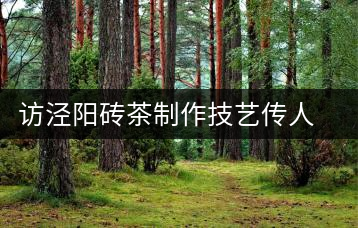 訪涇陽磚茶制作技藝傳人、陜西省非遺傳承人賈根社