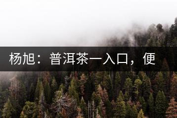 楊旭：普洱茶一入口，便知產(chǎn)地和年份