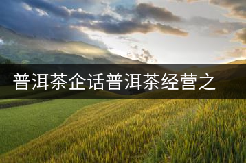 普洱茶企話普洱茶經(jīng)營之道