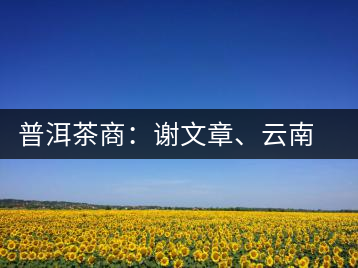 普洱茶商：謝文章、云南谷申商貿(mào)有限公司總經(jīng)理