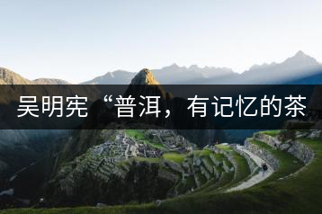 吳明憲“普洱，有記憶的茶品”