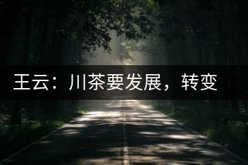 王云：川茶要發(fā)展，轉(zhuǎn)變思想是關(guān)鍵