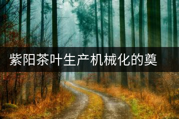 紫陽(yáng)茶葉生產(chǎn)機(jī)械化的奠基人