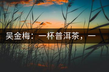 吳金梅：一杯普洱茶，一份云南情