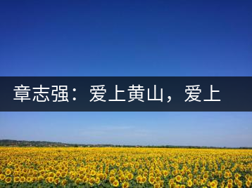 章志強(qiáng)：愛上黃山，愛上黃山的茶