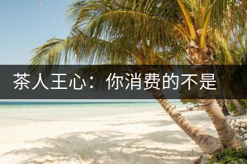 茶人王心：你消費的不是茶，是我