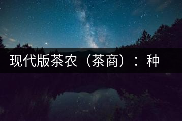 現(xiàn)代版茶農(nóng)（茶商）：種茶炒茶賣茶開茶館