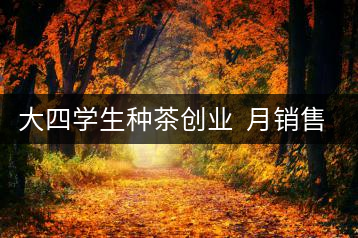 大四學(xué)生種茶創(chuàng)業(yè)  月銷售額超五十萬
