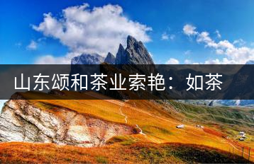 山東頌和茶業(yè)索艷：如茶似水品人生