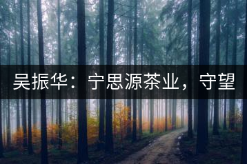 吳振華：寧思源茶業(yè)，守望家鄉(xiāng) 做好“金獎茶王”