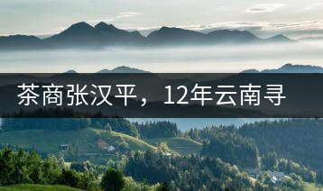 茶商張漢平，12年云南尋茶路
