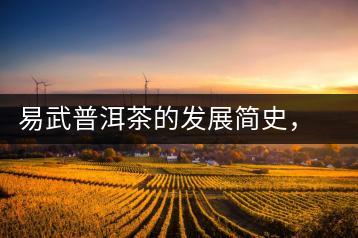 易武普洱茶的發(fā)展簡史，昔日的貢茶如今依然輝煌