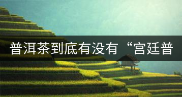 普洱茶到底有沒有“宮廷普洱”一說？它到底是什么？