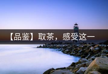 【品鑒】取茶，感受這一輪鳳起古茶的魅力