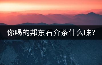 你喝的邦東石介茶什么味？