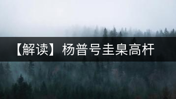【解讀】楊普號圭臬高桿茶：形高、氣足、韻遠(yuǎn)的一款茶