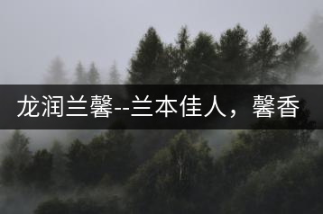 龍潤(rùn)蘭馨–蘭本佳人，馨香高雅