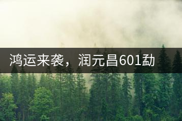 鴻運來襲，潤元昌601勐海紅韻熟茶即將上市