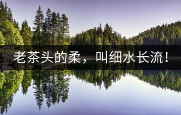 老茶頭的柔，叫細(xì)水長流！