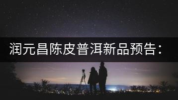 潤元昌陳皮普洱新品預(yù)告：【金絲單泡裝】&【醇真】