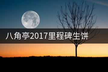 八角亭2017里程碑生餅，擁抱半個世紀(jì)的情懷