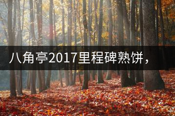 八角亭2017里程碑熟餅，自先發(fā)酵而后愛人