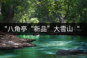 “八角亭“新品”大雪山“即將上市，期待您的品茗！