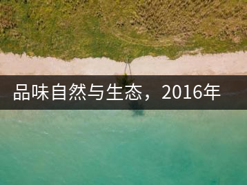 品味自然與生態(tài)，2016年勐傣“大雪山古樹茶”