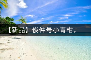 【新品】俊仲號小青柑，青果來傾城