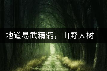 地道易武精髓，山野大樹(shù)珍品—普秀易武生態(tài)喬木圓茶即將上市