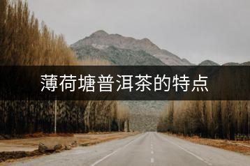 薄荷塘普洱茶的特點