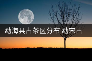 勐?？h古茶區(qū)分布 勐宋古茶山