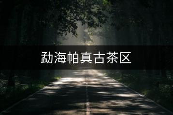 勐海帕真古茶區(qū)