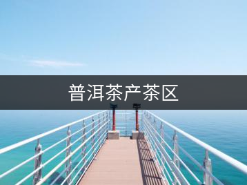 普洱茶產(chǎn)茶區(qū)