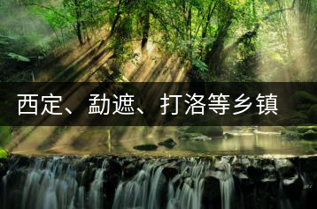 西定、勐遮、打洛等鄉(xiāng)鎮(zhèn)古茶樹資源