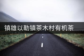 鎮(zhèn)雄以勒鎮(zhèn)茶木村有機茶產(chǎn)業(yè)