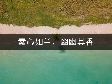 素心如蘭，幽幽其香