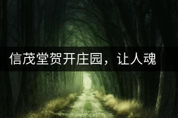 信茂堂賀開莊園，讓人魂?duì)繅?mèng)繞的名山古樹茶