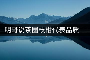 明哥說茶圈枝柑代表品質(zhì)高點，是玩家級的產(chǎn)品