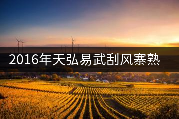 2016年天弘易武刮風(fēng)寨熟茶一泡耐人尋味！