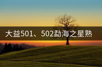 大益501、502勐海之星熟茶
