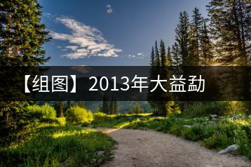 【組圖】2013年大益勐海之星開湯