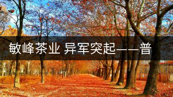 敏峰茶業(yè) 異軍突起——普洱敏峰茶業(yè)有限公司紀(jì)實(shí)