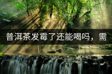 普洱茶發(fā)霉了還能喝嗎，需要怎么處理？