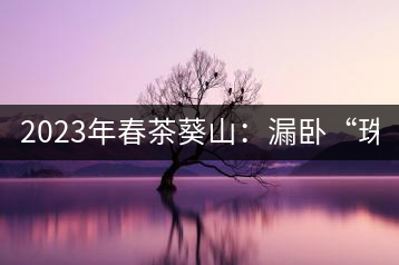 2023年春茶葵山：漏臥“珠江紅：1200元-3200元（有3個(gè)檔次）漏臥“大廠茶”：古樹單株8600-9000元／公斤，中樹4800-5200元／公斤，小樹混采2600-2800元／公斤。