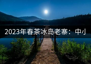 2023年春茶冰島老寨：中小樹混采2500-3000元／公斤，大樹：7000-8000元／公斤，古樹混采：28000-36000元／公斤