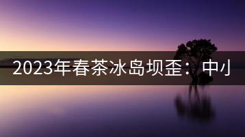 2023年春茶冰島壩歪：中小樹(shù)800元／公斤，古樹(shù)1400-1600元／公斤